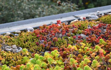 the cost of Ardaneaskan green roof installation