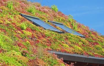 Ardaneaskan living roof systems