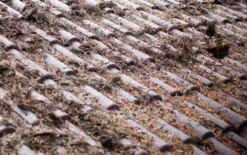 Ardaneaskan roof cleaning companies